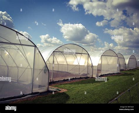 Row Of Greenhouses Hi Res Stock Photography And Images Alamy