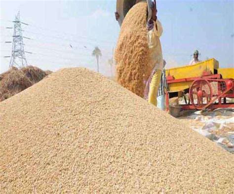 Paddy Procurement 2023 किसानों के लिए महत्वपूर्ण खबर 1 नवंबर से शुरू