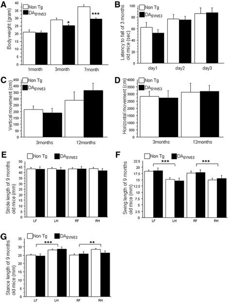 DA SYN53 Mice Displayed Slower Body Weight Gain But Normal Locomotion