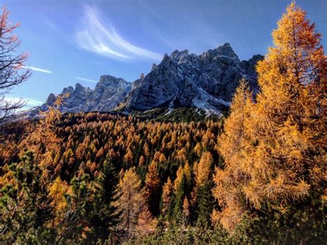 Comune Di Lozzo Di Cadore