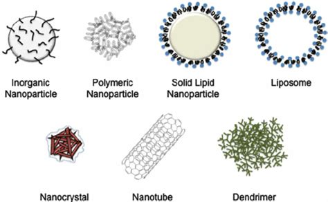 Various Types Of Nanomaterials Used For Biomedical And Drug Delivery Download Scientific