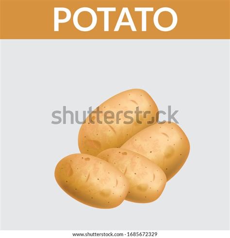 Potatoes Vector Illustration Isolated White Background Stock Vector Royalty Free 1685672329