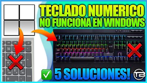 ERROR TECLADO NUMERICO NO FUNCIONA en WINDOWS 11 Solución de como