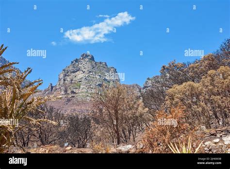 Landscape view of twelve apostles in Cape Town, Western Cape in South Africa. The scenery of a ...