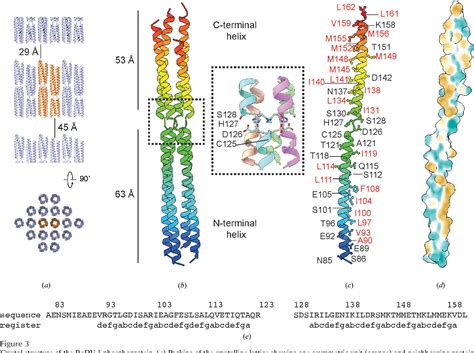 Figure From Structural And Biophysical Characterization Of The Borna