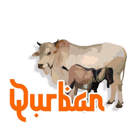 Logo Sapi Dan Kambing Qurban 43 Koleksi Gambar