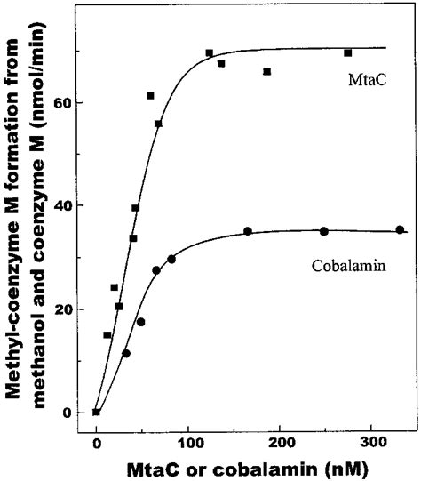 Rate Of Reaction Concentration Of Enzyme And Coenzyme