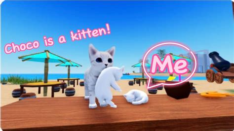 Being An Adorable Kitten In Kitten Game Roblox Update