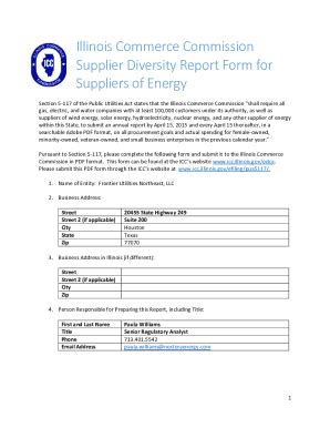 Fillable Online Supplier Diversity Report Form For Fax Email Print