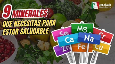 Los Minerales M S Importantes Para Mantenerte Activo Y Saludable