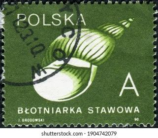 Poland Circa Postage Stamp Shows Stock Photo Shutterstock