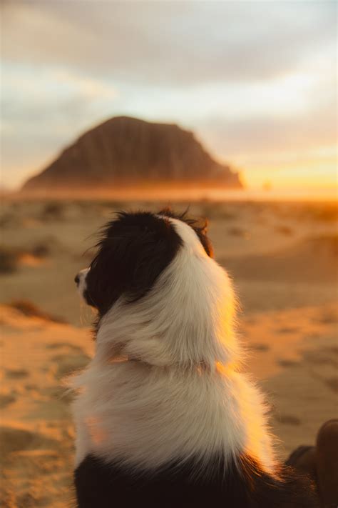 Morro Bay Sunset Brady Nations Photo