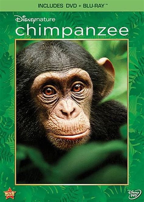 Disneynature Chimpanzee Dvd Blu Ray Walmart