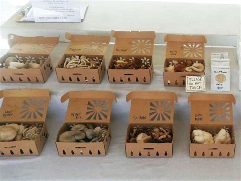 New Produce Container Mushrooms Into More Sales For Growers