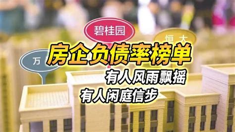 房企负债率排名，谁风雨飘摇？谁闲庭信步？ 知乎