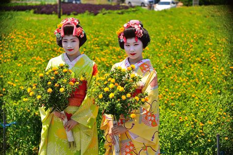 白鷹町 紅花まつり 山形舞子撮影会 Koubouのホームページ