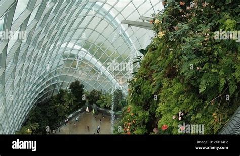 Botanical Garden Of Singapore Stock Video Footage Alamy