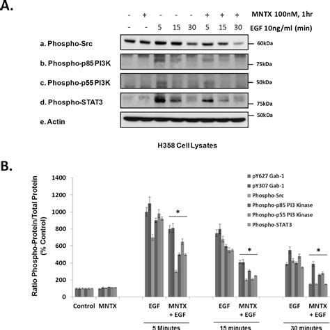 Epithelial To Mesenchymal Transition Semantic Scholar