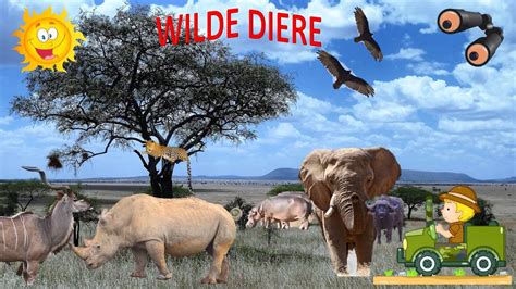 Wilde Diere Youtube