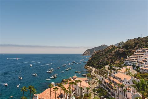 Whitney + Nick | Descanso Beach Club Wedding Photos | Catalina Wedding ...