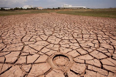 Por La Sequía El Gobierno Declaró La Emergencia Agropecuaria En