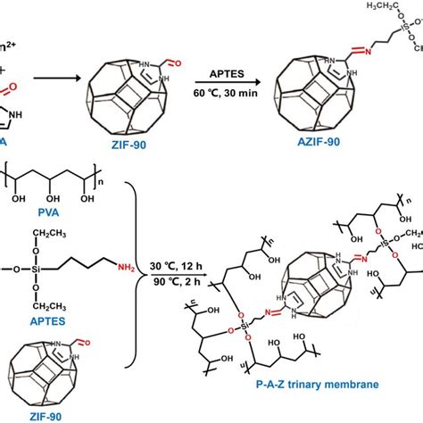 Synthesis Routes Of A Zif 90 And Azif 90 Particles And B P A Z