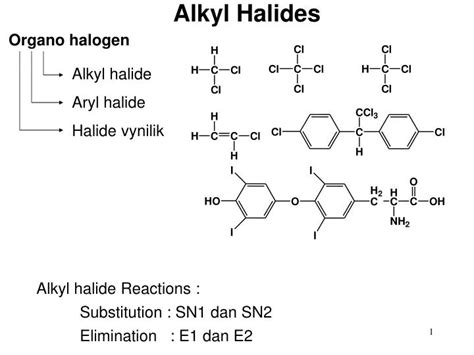 PPT - Alkyl Halides PowerPoint Presentation - ID:2027688