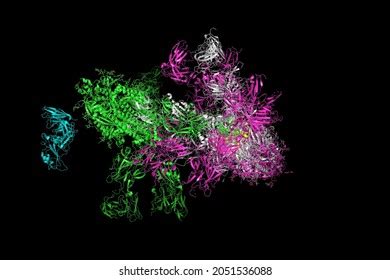 Sars-cov-2 Spike Glycoprotein Structure Complex Protein Stock ...