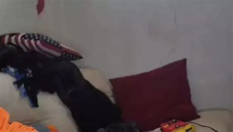 Vincent Mccallister Gay Porn Creator Videos Free Amateur Nudes Xhamster