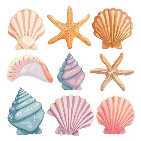 Premium Vector Seashell Vector Set Simple And Minimal