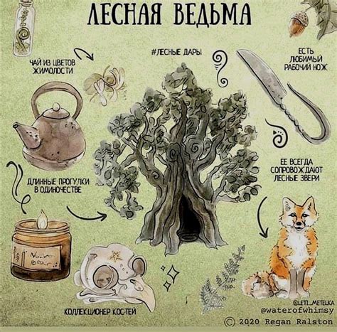 Лесная ведьма | Witch aesthetic, Forest witch aesthetic, Witch