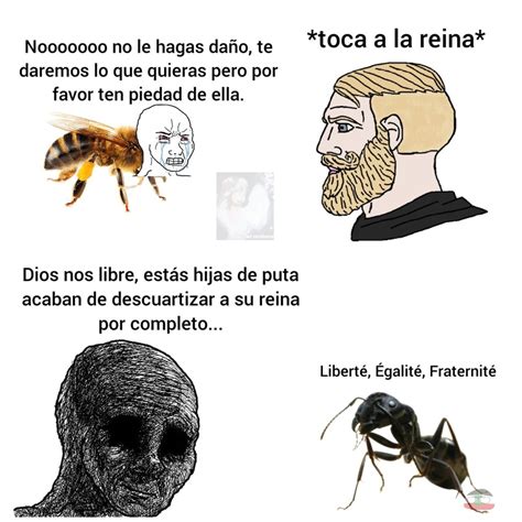 top memes de reina en espanol memedroid