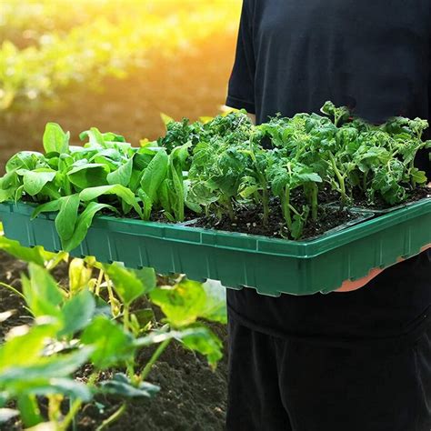 Bandejas para germinación de plantas de invernadero caja de cultivo de