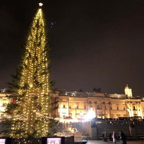 London Christmas Tree