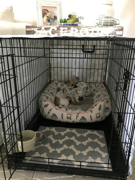 Why Is My Puppy Whimpering in Their Crate? Proven Solutions for Peaceful Nights