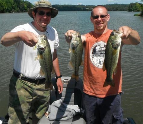 Clear Fork Reservoir Fishing Reports and Discussions