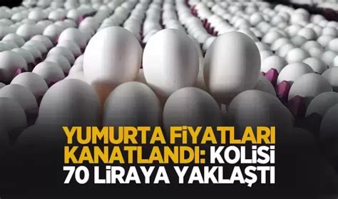 Yumurtaya büyük zam Medya Kışlaçay