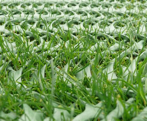 Grassprotecta™ Grass Reinforcement Mesh Terram Esi External Works