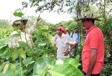 Córdoba se beneficiará con el programa Colombia Sostenible