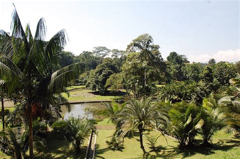 Bogor Botanic Garden Kebun Raya