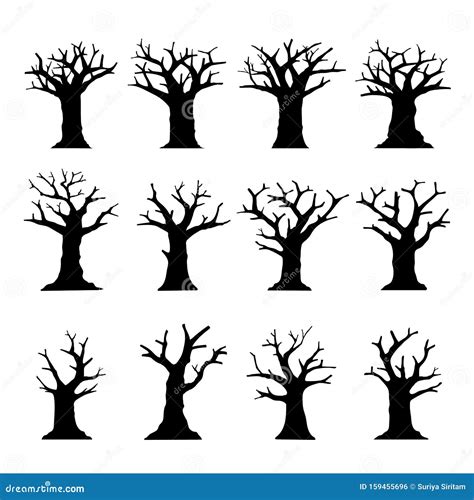 Silhouette Dead Tree Without Leaves Collection Arbre Mort Sans