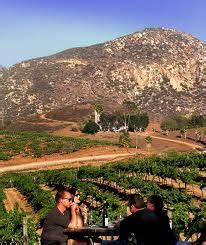 31 Best Escondido Wineries images | Escondido california, North county ...