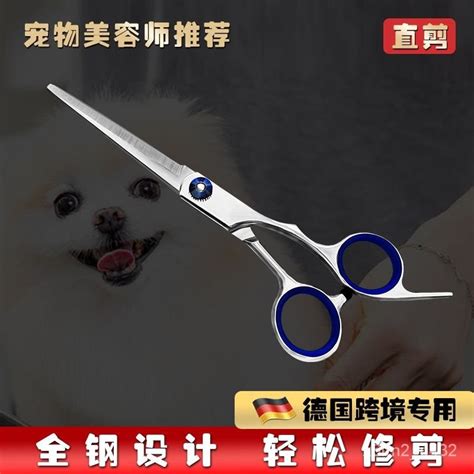 Dog Hair Scissors Pet Scissors Beauty Tools Set Professional Hair ...