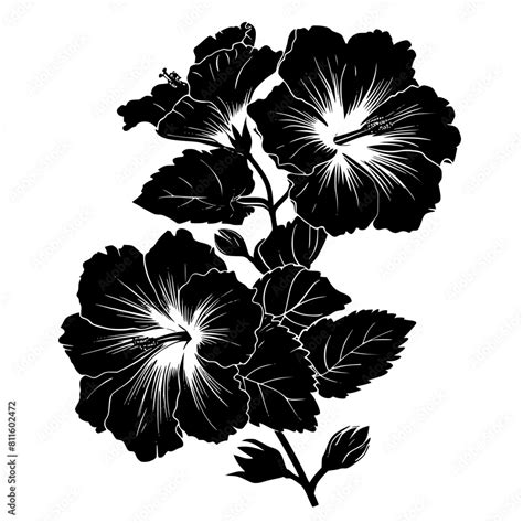 Flower Svg Hibiscus Svg Tropical Flower Svg Hawaiian Flower Svg