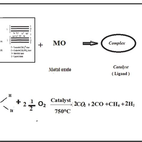 Schematic illustrating the complex formation | Download Scientific Diagram