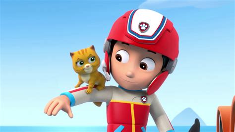 Watch Paw Patrol Season 1 Episode 3 Paw Patrol Pups And The Kitty