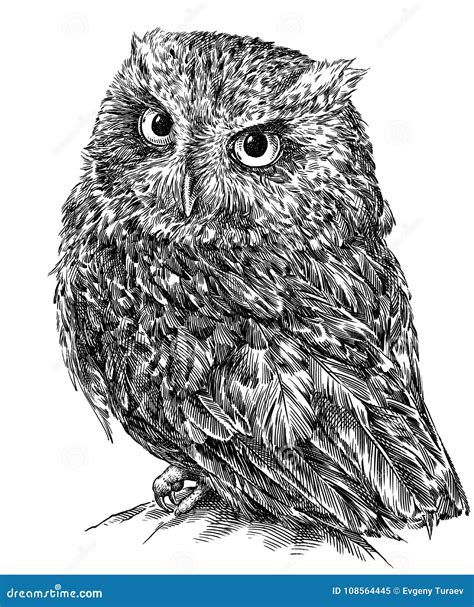 Black And White Engrave Isolated Owl Illustration Stock Illustration