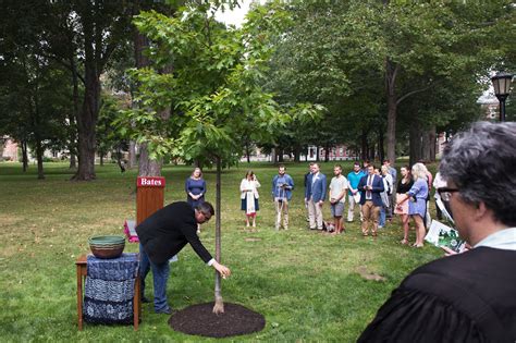 Bates Memorial Tree Planting Embraces The ‘sacred Tension Of