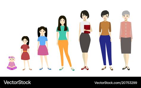 Cartoon Stages Growth Character Woman Royalty Free Vector