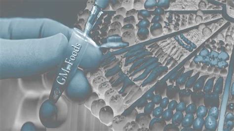 GMOs pros and cons: is genetically modified food dangerous? - netivist